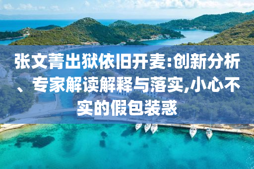 張文菁出獄依舊開麥:創新分析、專家解讀解釋與落實,小心不實的假包裝惑