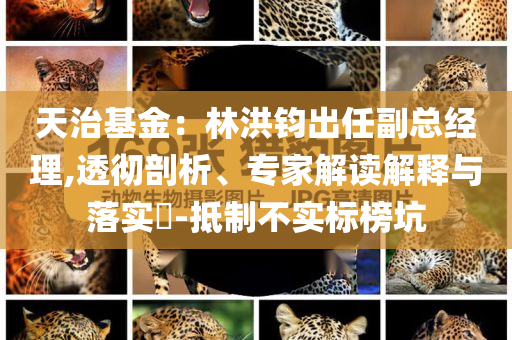 天治基金：林洪鈞出任副總經(jīng)理,透徹剖析、專家解讀解釋與落實(shí)?-抵制不實(shí)標(biāo)榜坑