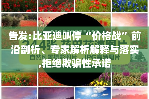 告發(fā):比亞迪叫停“價(jià)格戰(zhàn)”前沿剖析、專家解析解釋與落實(shí),拒絕欺騙性承諾
