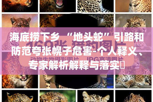 海底撈下鄉 “地頭蛇”引路和防范夸張幌子危害-個人釋義、專家解析解釋與落實?