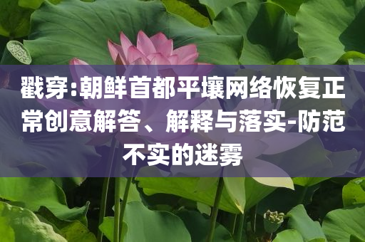 戳穿:朝鮮首都平壤網(wǎng)絡恢復正常創(chuàng)意解答、解釋與落實-防范不實的迷霧