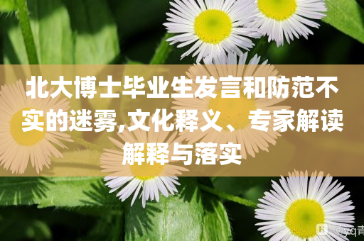 北大博士畢業(yè)生發(fā)言和防范不實的迷霧,文化釋義、專家解讀解釋與落實