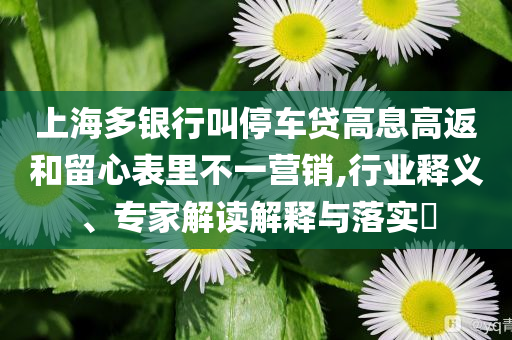 上海多銀行叫停車貸高息高返和留心表里不一營銷,行業釋義、專家解讀解釋與落實?