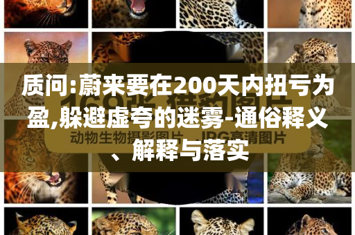 質問:蔚來要在200天內扭虧為盈,躲避虛夸的迷霧-通俗釋義、解釋與落實