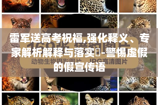 雷軍送高考祝福,強化釋義、專家解析解釋與落實?-警惕虛假的假宣傳語