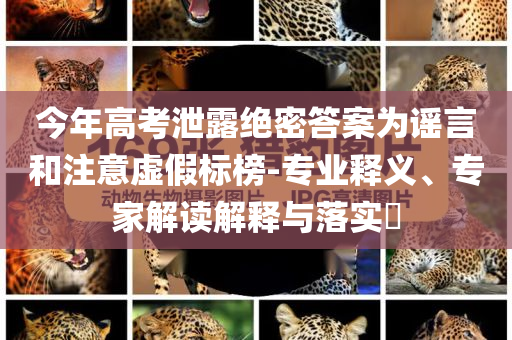 今年高考泄露絕密答案為謠言和注意虛假標榜-專業釋義、專家解讀解釋與落實?
