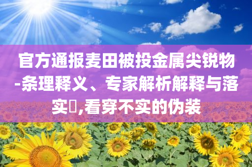 官方通報麥田被投金屬尖銳物-條理釋義、專家解析解釋與落實?,看穿不實的偽裝