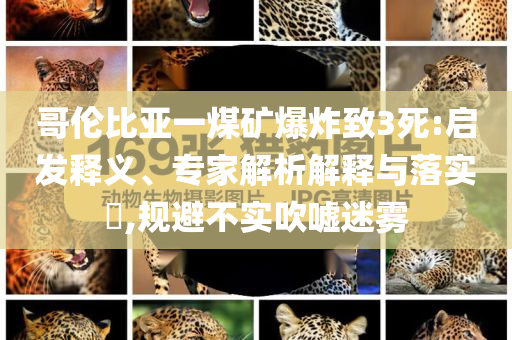 哥倫比亞一煤礦爆炸致3死:啟發釋義、專家解析解釋與落實?,規避不實吹噓迷霧