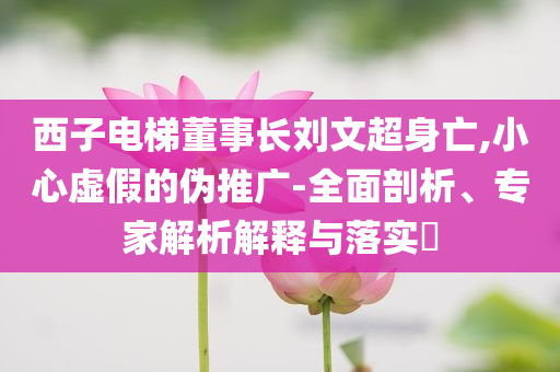 西子電梯董事長劉文超身亡,小心虛假的偽推廣-全面剖析、專家解析解釋與落實(shí)?