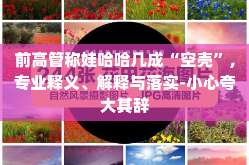前高管稱娃哈哈幾成“空殼”,專業釋義、解釋與落實-小心夸大其辭