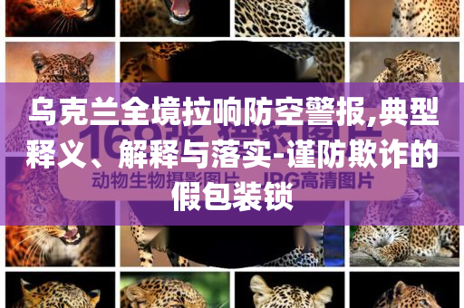 2025年6月 第81頁