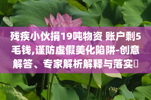 殘疾小伙捐19噸物資 賬戶剩5毛錢,謹防虛假美化陷阱-創意解答、專家解析解釋與落實?