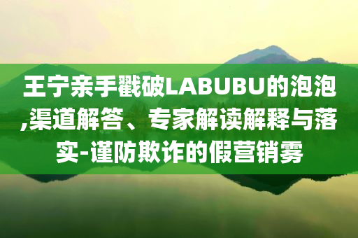 王寧親手戳破LABUBU的泡泡,渠道解答、專家解讀解釋與落實-謹防欺詐的假營銷霧