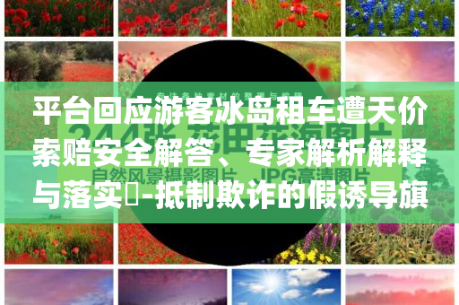 平臺回應游客冰島租車遭天價索賠安全解答、專家解析解釋與落實?-抵制欺詐的假誘導旗