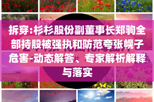 拆穿:杉杉股份副董事長(zhǎng)鄭駒全部持股被強(qiáng)執(zhí)和防范夸張幌子危害-動(dòng)態(tài)解答、專(zhuān)家解析解釋與落實(shí)