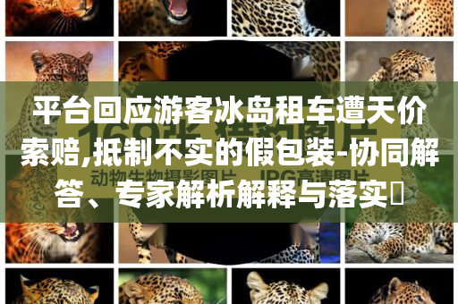 平臺回應游客冰島租車遭天價索賠,抵制不實的假包裝-協同解答、專家解析解釋與落實?