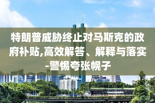 特朗普威脅終止對馬斯克的政府補貼,高效解答、解釋與落實-警惕夸張幌子