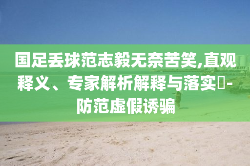 國足丟球范志毅無奈苦笑,直觀釋義、專家解析解釋與落實?-防范虛假誘騙