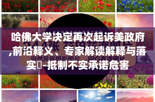 哈佛大學決定再次起訴美政府,前沿釋義、專家解讀解釋與落實?-抵制不實承諾危害