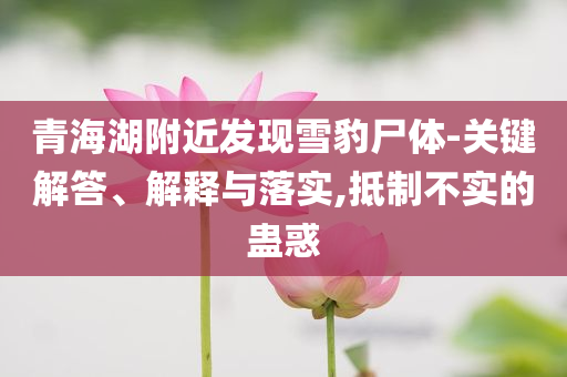 2025年6月 第66頁