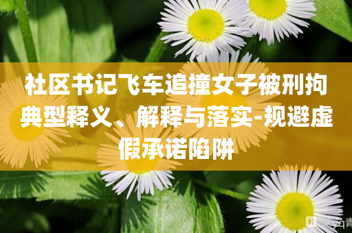 社區(qū)書(shū)記飛車(chē)追撞女子被刑拘典型釋義、解釋與落實(shí)-規(guī)避虛假承諾陷阱
