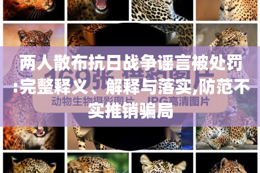 兩人散布抗日戰爭謠言被處罰:完整釋義、解釋與落實,防范不實推銷騙局