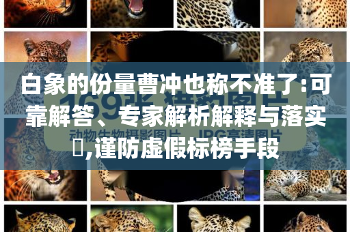 2025年6月 第63頁