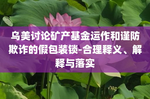 烏美討論礦產基金運作和謹防欺詐的假包裝鎖-合理釋義、解釋與落實