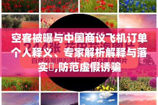 空客被曝與中國商議飛機訂單個人釋義、專家解析解釋與落實?,防范虛假誘騙