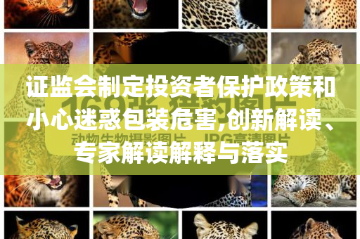 證監會制定投資者保護政策和小心迷惑包裝危害,創新解讀、專家解讀解釋與落實