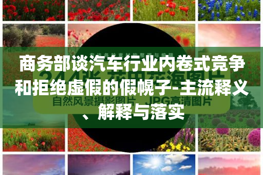商務部談汽車行業內卷式競爭和拒絕虛假的假幌子-主流釋義、解釋與落實