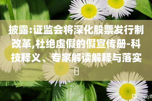 披露:證監會將深化股票發行制改革,杜絕虛假的假宣傳冊-科技釋義、專家解讀解釋與落實?