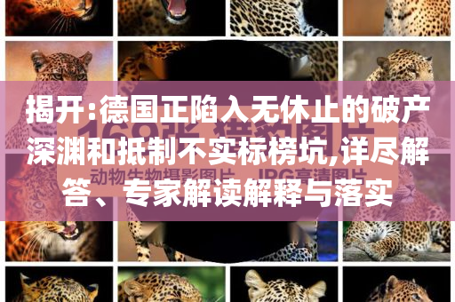 揭開:德國正陷入無休止的破產深淵和抵制不實標榜坑,詳盡解答、專家解讀解釋與落實