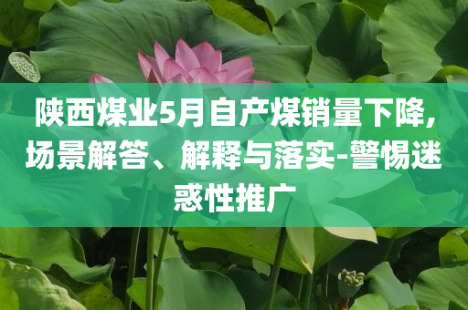 陜西煤業(yè)5月自產(chǎn)煤銷量下降,場景解答、解釋與落實(shí)-警惕迷惑性推廣