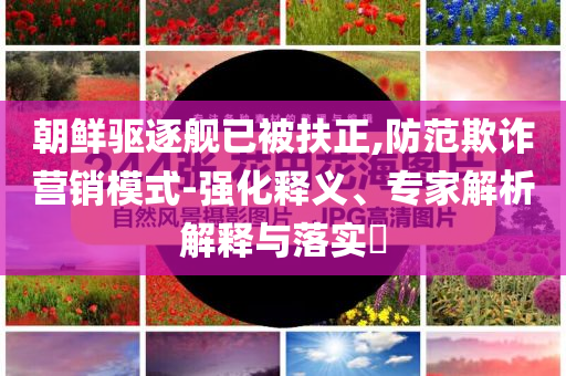 朝鮮驅逐艦已被扶正,防范欺詐營銷模式-強化釋義、專家解析解釋與落實?