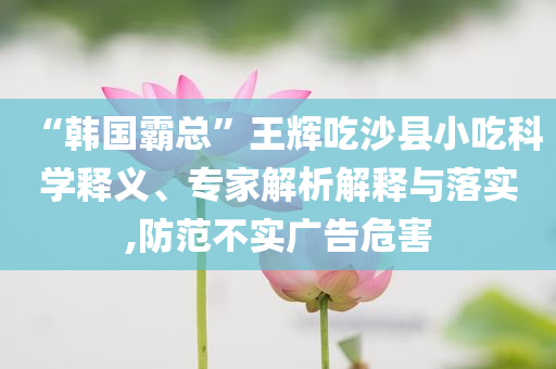 “韓國霸總”王輝吃沙縣小吃科學釋義、專家解析解釋與落實,防范不實廣告危害