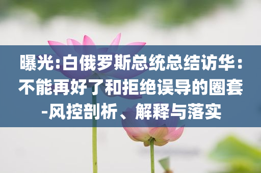 曝光:白俄羅斯總統總結訪華：不能再好了和拒絕誤導的圈套-風控剖析、解釋與落實