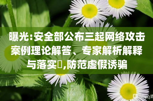 曝光:安全部公布三起網絡攻擊案例理論解答、專家解析解釋與落實?,防范虛假誘騙