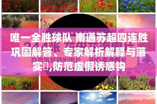 唯一全勝球隊 南通蘇超四連勝鞏固解答、專家解析解釋與落實?,防范虛假誘惑鉤