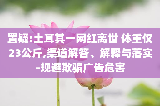 2025年6月 第48頁
