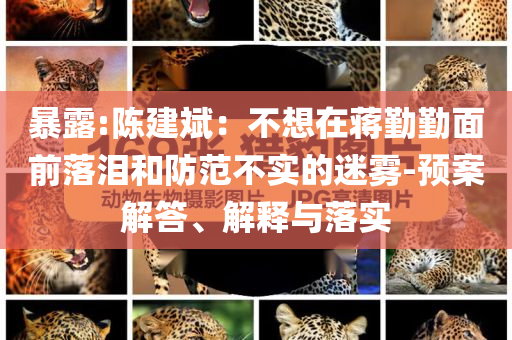 暴露:陳建斌：不想在蔣勤勤面前落淚和防范不實的迷霧-預案解答、解釋與落實