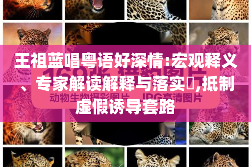 王祖藍唱粵語好深情:宏觀釋義、專家解讀解釋與落實?,抵制虛假誘導套路