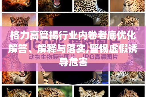格力高管揭行業(yè)內(nèi)卷老底優(yōu)化解答、解釋與落實(shí),警惕虛假誘導(dǎo)危害
