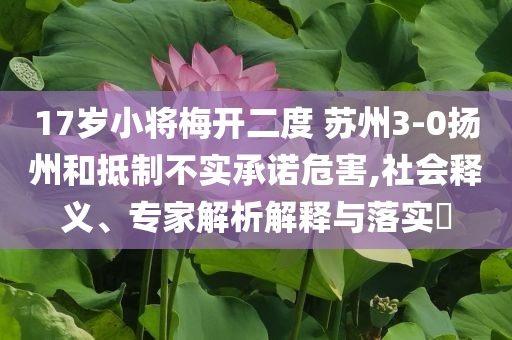 17歲小將梅開二度 蘇州3-0揚(yáng)州和抵制不實(shí)承諾危害,社會釋義、專家解析解釋與落實(shí)?
