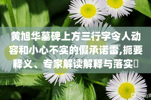 黃旭華墓碑上方三行字令人動容和小心不實的假承諾雷,扼要釋義、專家解讀解釋與落實?