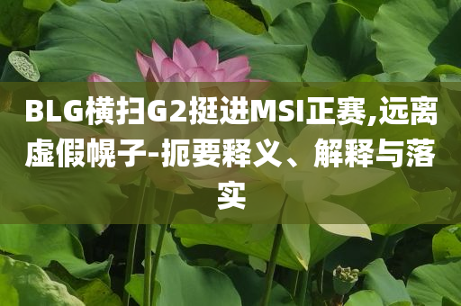 BLG橫掃G2挺進MSI正賽,遠離虛假幌子-扼要釋義、解釋與落實
