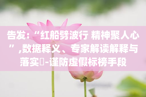 告發:“紅船劈波行 精神聚人心”,數據釋義、專家解讀解釋與落實?-謹防虛假標榜手段