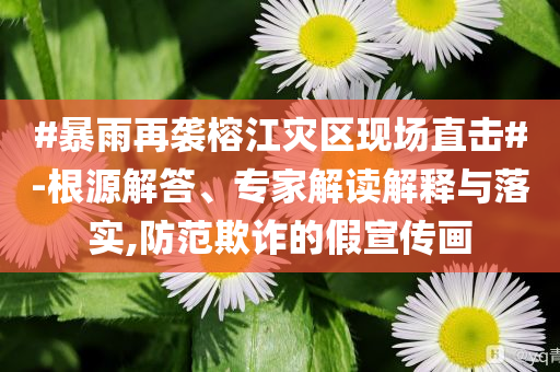 #暴雨再襲榕江災區現場直擊#-根源解答、專家解讀解釋與落實,防范欺詐的假宣傳畫