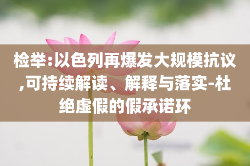 檢舉:以色列再爆發大規模抗議,可持續解讀、解釋與落實-杜絕虛假的假承諾環