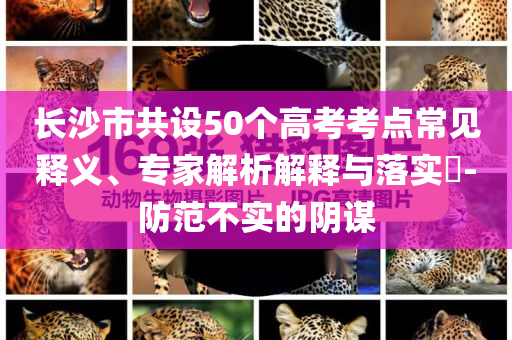 長沙市共設50個高考考點常見釋義、專家解析解釋與落實?-防范不實的陰謀